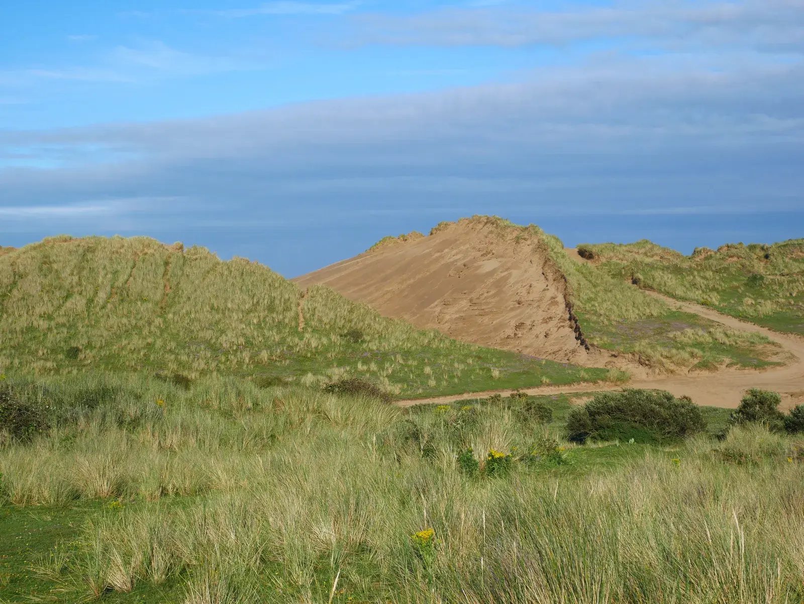 A tall, steep sand dune with grassy slopes at Braunton Burrows, seen across marram grass under a blue sky.